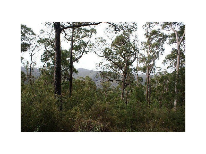 Lot 1 & 2 Morphetts Road, Neika TAS 7054