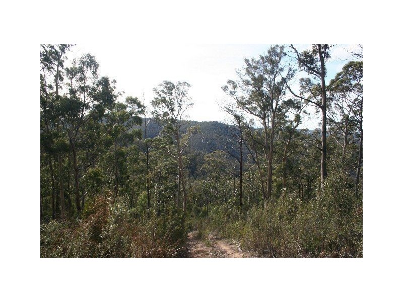 Lot 1 & 2 Morphetts Road, Neika TAS 7054