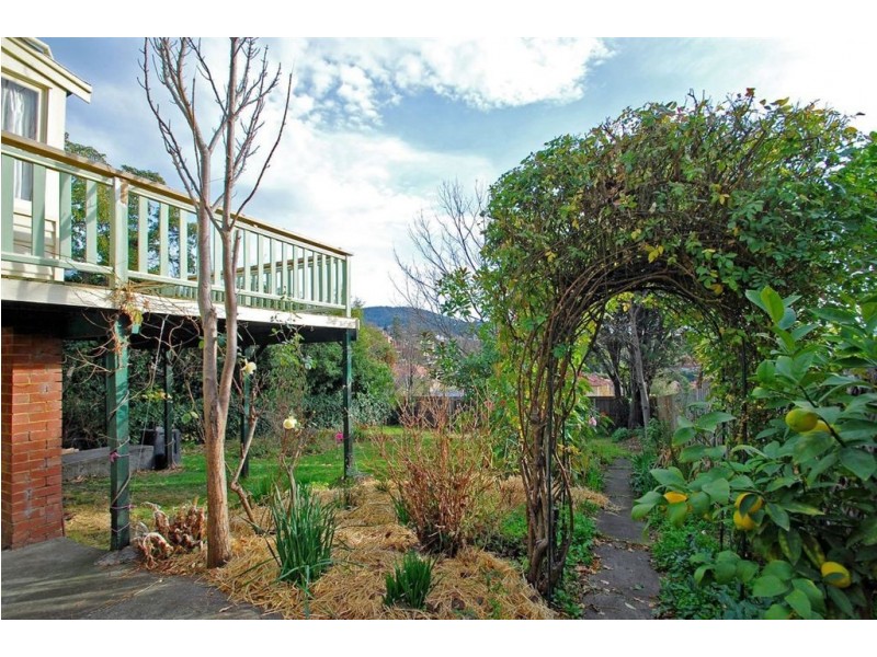 115 York Street, Sandy Bay TAS 7005
