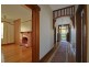 115 York Street, Sandy Bay TAS 7005