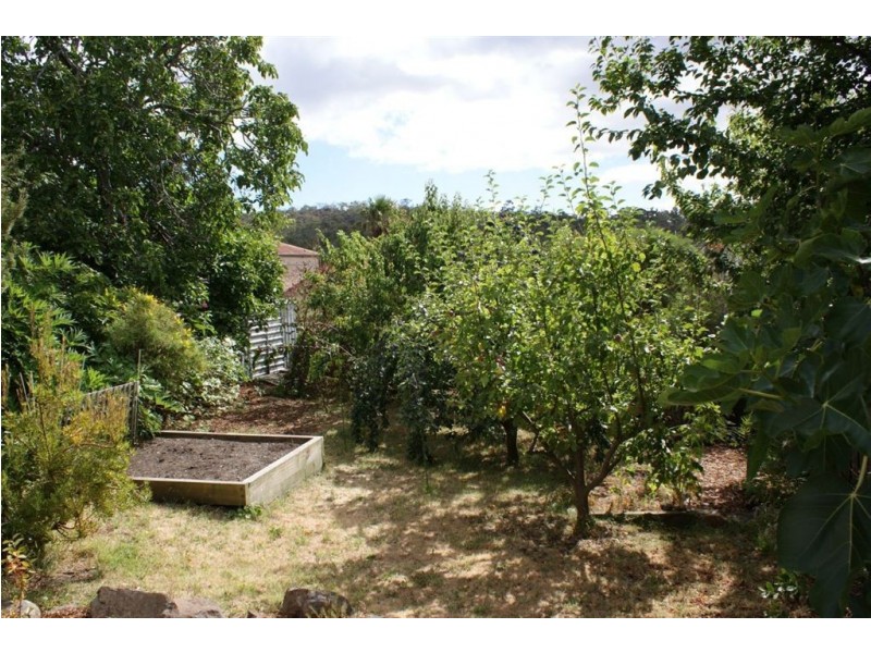 3 Carr Street, North Hobart TAS 7000