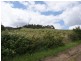 Lot 1 & 2 Yellow Brick Road, Old Beach TAS 7017