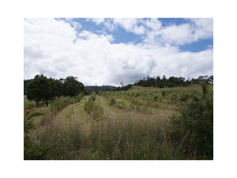 Lot 1 & 2 Yellow Brick Road, Old Beach TAS 7017