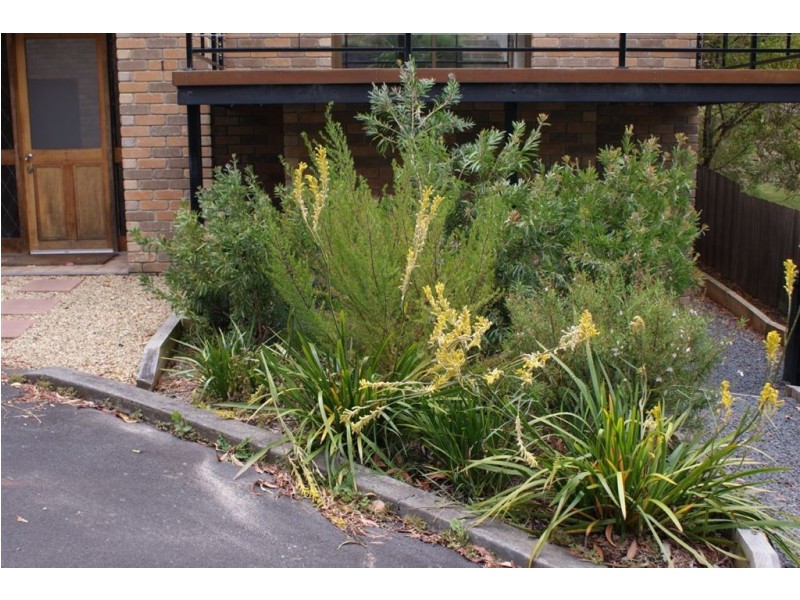 1/3 Atunga Street, Taroona TAS 7053