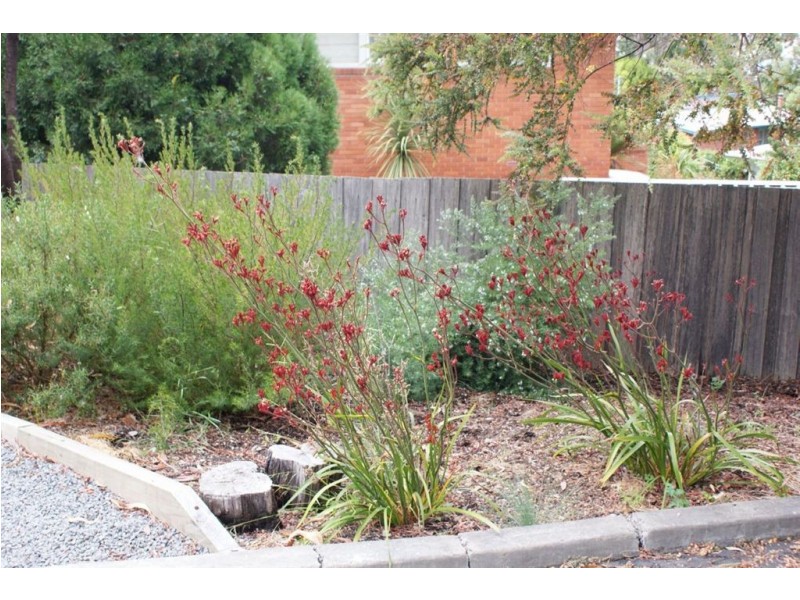 1/3 Atunga Street, Taroona TAS 7053