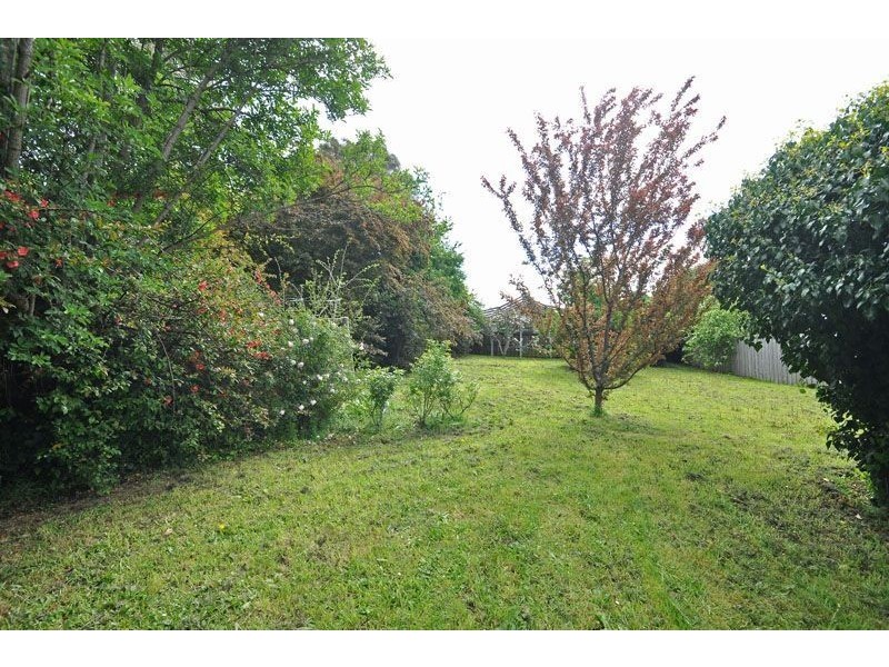 24 Nelson Road, Sandy Bay TAS 7005