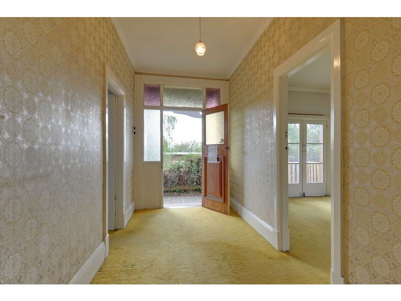 40 Alexander Street, Sandy Bay TAS 7005