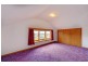 88 York Street, Sandy Bay TAS 7005