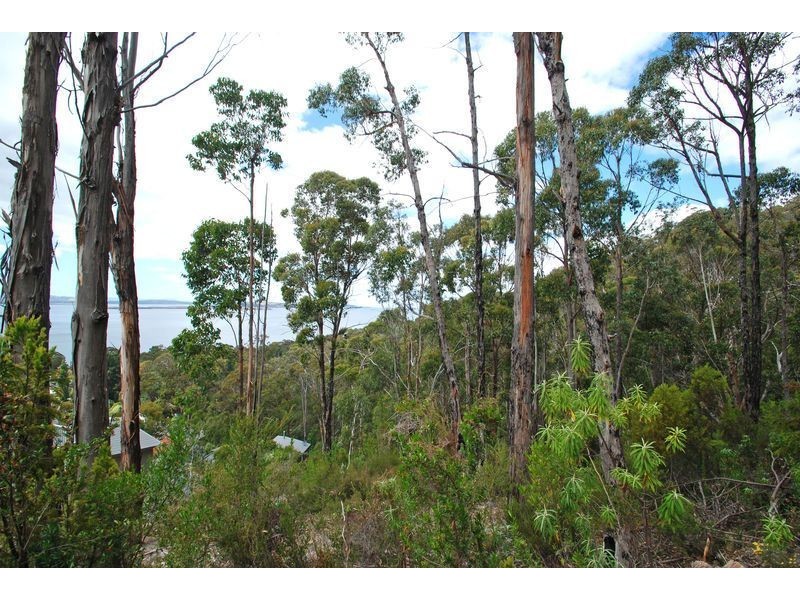 28 Earlwood Court, Taroona TAS 7053