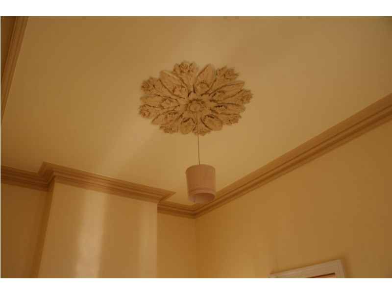 44 Warwick Street, Hobart TAS 7000