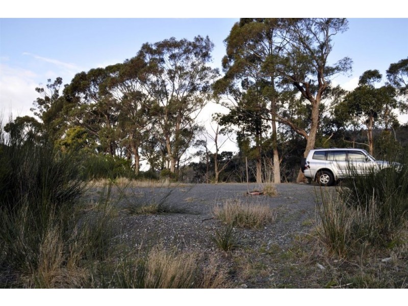 14 Clutha Place, South Hobart TAS 7004