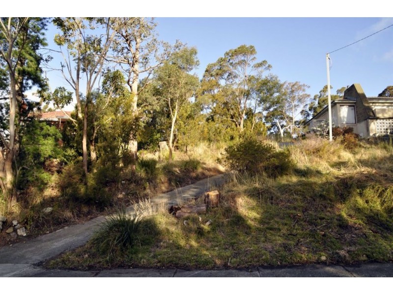 14 Clutha Place, South Hobart TAS 7004