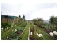 15 Black Hills Road, Magra TAS 7140