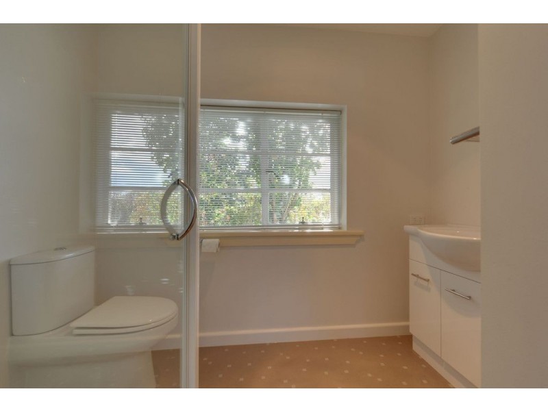 7 David Avenue, Sandy Bay TAS 7005