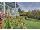 7 David Avenue, Sandy Bay TAS 7005