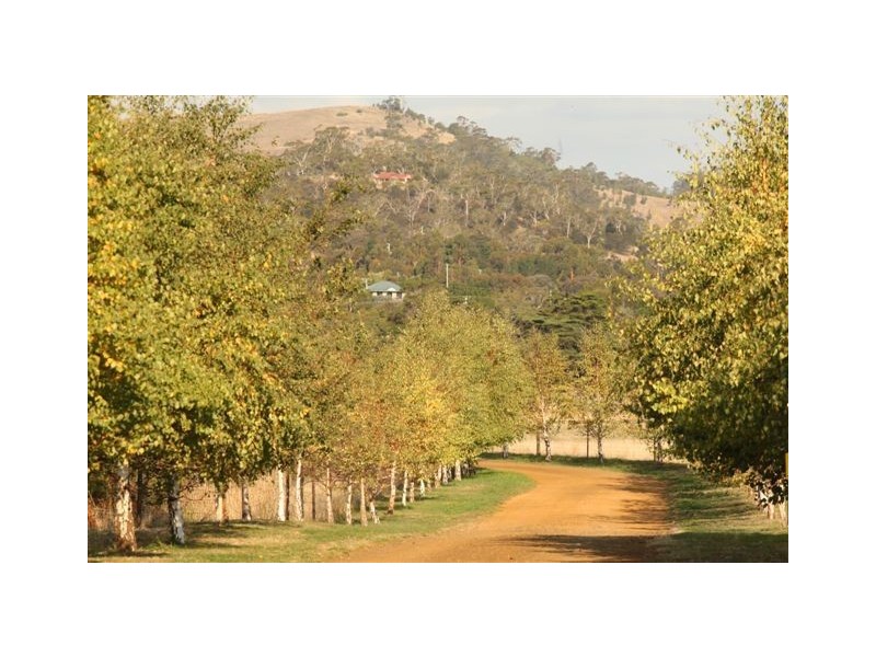 33 Ogilvie Lane, Richmond TAS 7025
