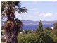 15 French Street, Sandy Bay TAS 7005