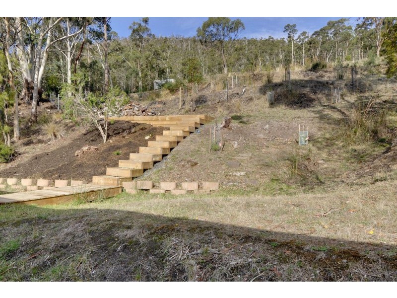 197 Waterworks Road, Dynnyrne TAS 7005