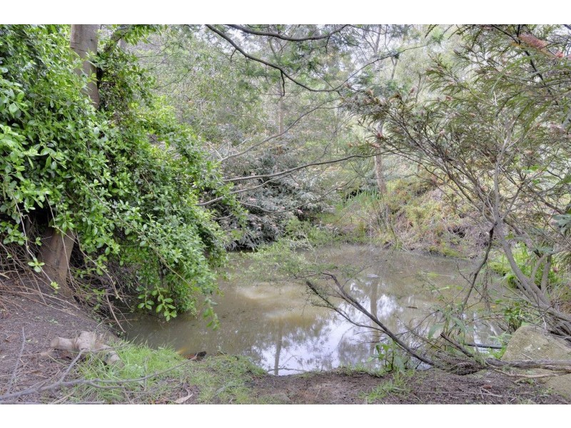 21 Bramble Street, Ridgeway TAS 7054