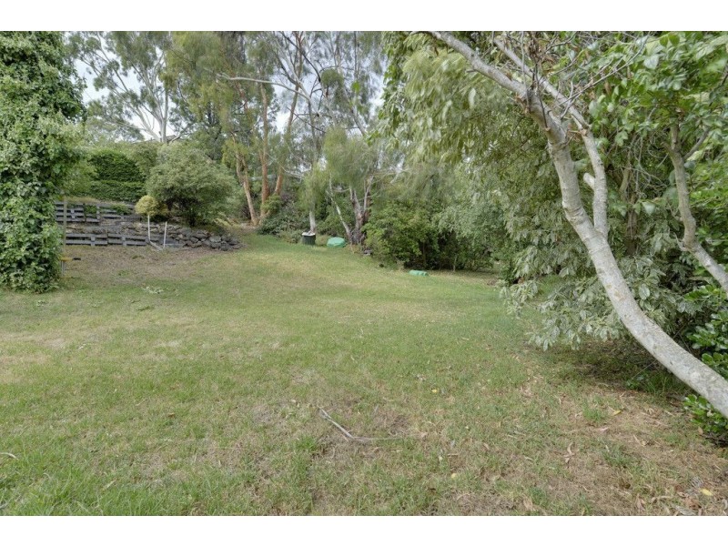 533 Churchill Avenue, Sandy Bay TAS 7005