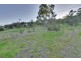 22 Tianna Road, Lindisfarne TAS 7015
