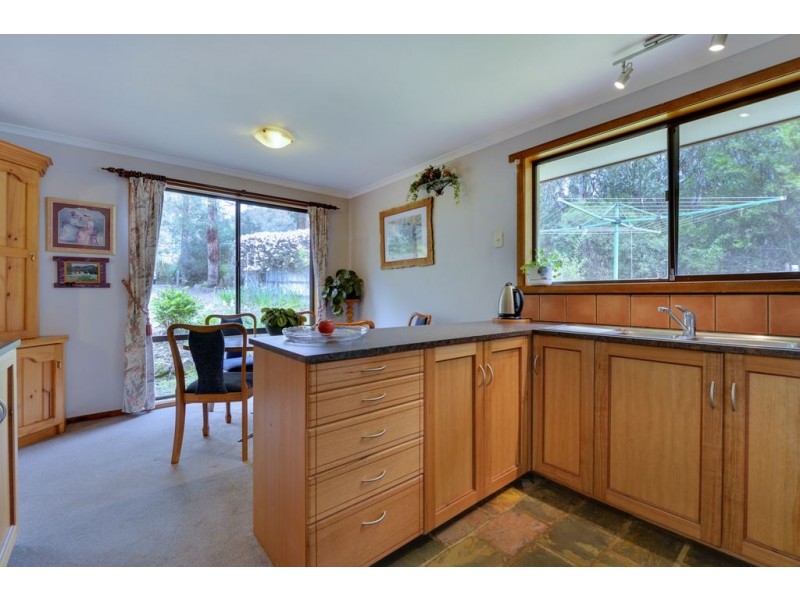 330 Collins Cap Road, Collinsvale TAS 7012