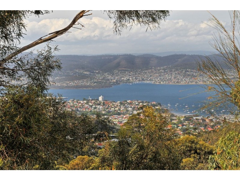 39 Woodcutters Road, Tolmans Hill TAS 7007