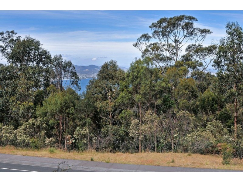 39 Woodcutters Road, Tolmans Hill TAS 7007