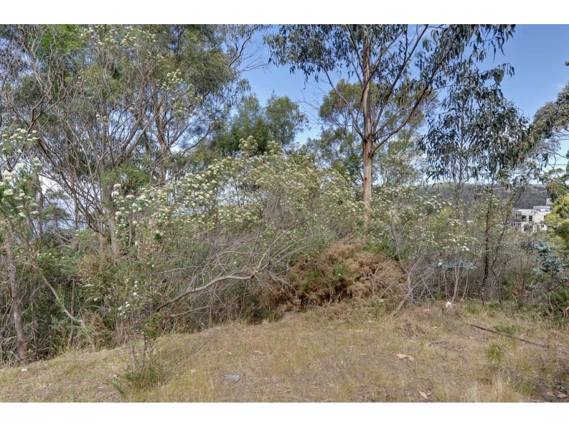 39 Woodcutters Road, Tolmans Hill TAS 7007
