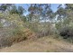 39 Woodcutters Road, Tolmans Hill TAS 7007