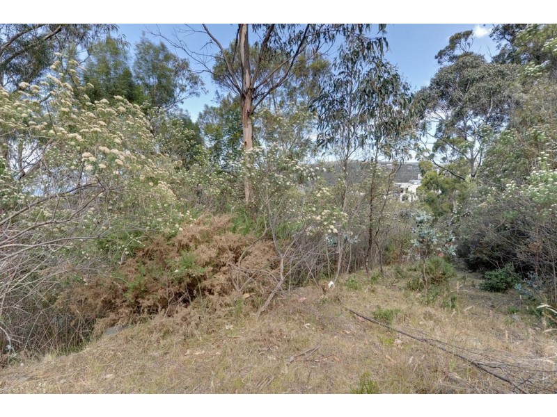 39 Woodcutters Road, Tolmans Hill TAS 7007