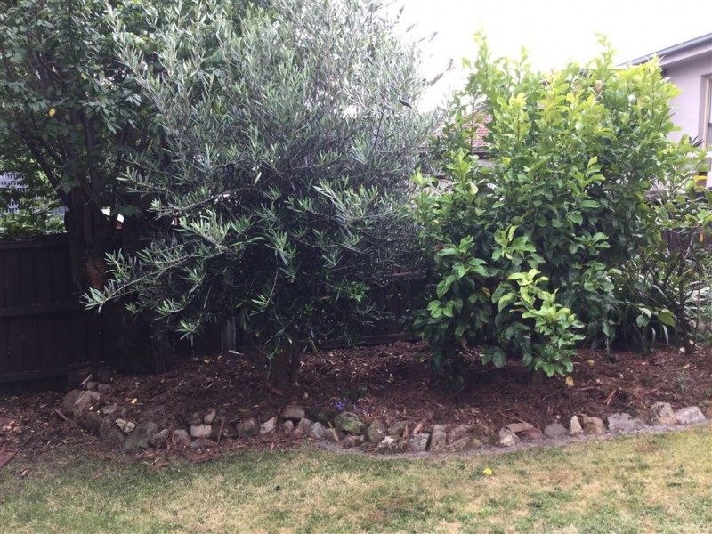 70 Carlton Street, New Town TAS 7008