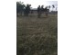 00 Land for Sale, Herdsmans Cove TAS 7030