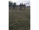 00 Land for Sale, Herdsmans Cove TAS 7030