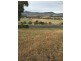 00 Land for Sale, Herdsmans Cove TAS 7030