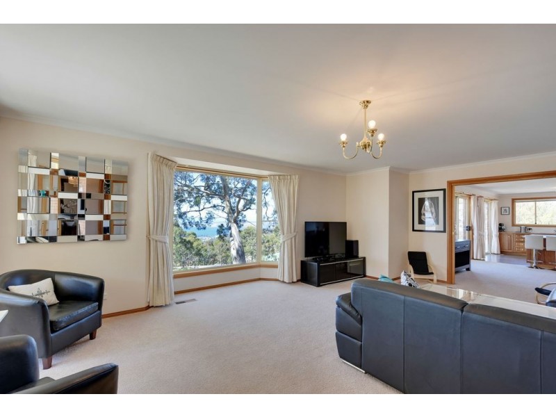 20 Woodridge Place, Tolmans Hill TAS 7007