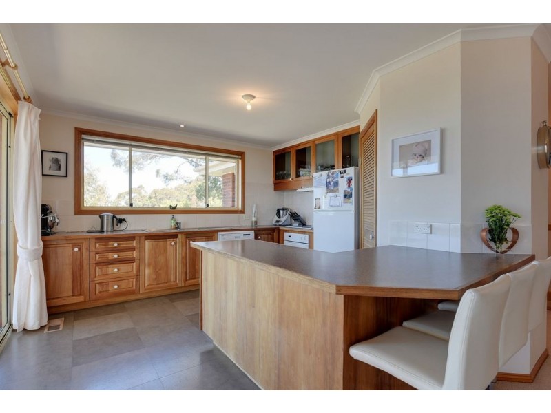 20 Woodridge Place, Tolmans Hill TAS 7007