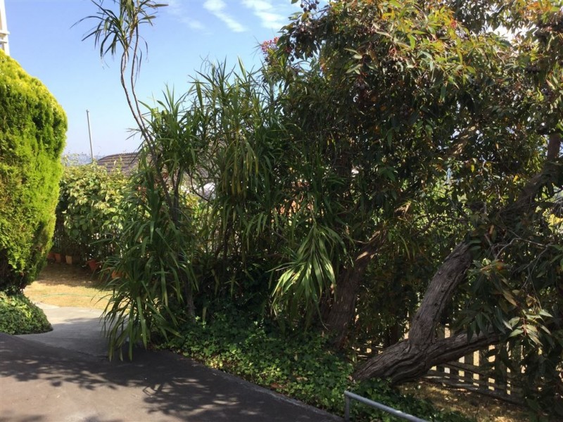 2 Capri Drive, Sandy Bay TAS 7005