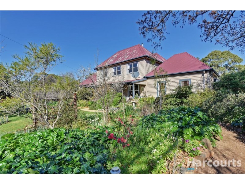 13569 Tasman Highway, Swansea TAS 7190
