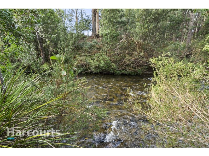 00 Lonnavale Road, Lonnavale TAS 7109