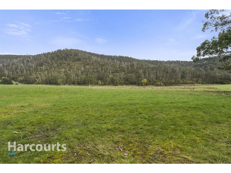 00 Lonnavale Road, Lonnavale TAS 7109