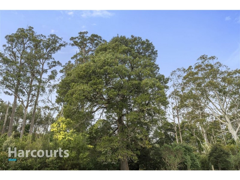 00 Lonnavale Road, Lonnavale TAS 7109