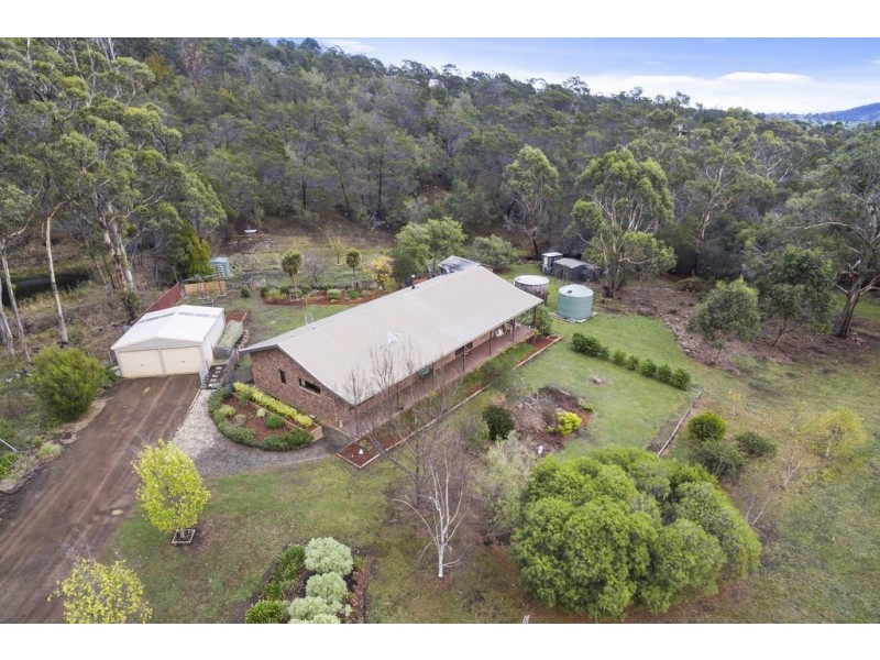 621 Delmore Road, Wattle Hill TAS 7172