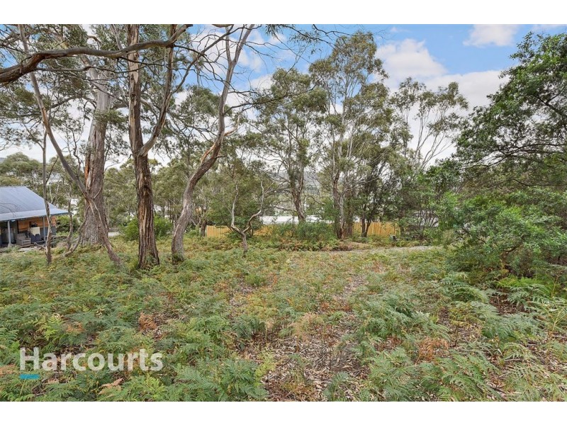 2 Wedgetail Street, Primrose Sands TAS 7173