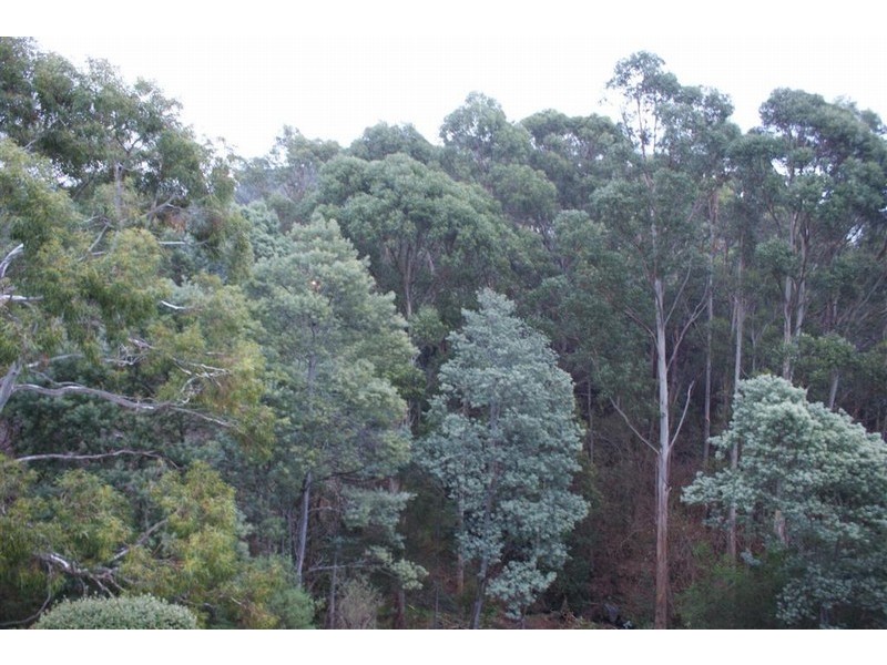 5/64 Waterworks Road, Dynnyrne TAS 7005