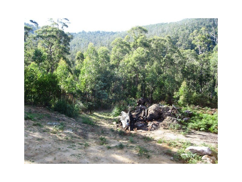 19 Menuggana Road, Fern Tree TAS 7054