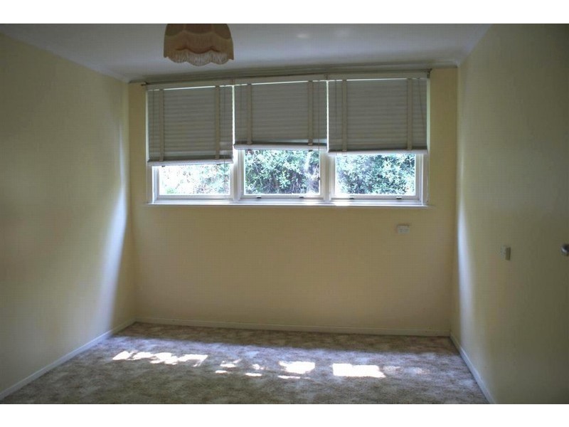 8 Erina Place, Sandy Bay TAS 7005