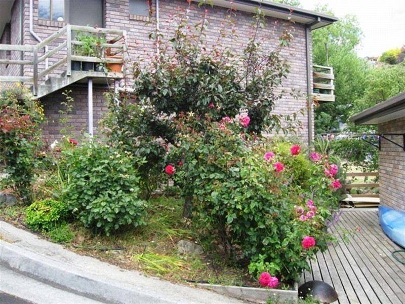 2/28 Waterworks Road, Dynnyrne TAS 7005