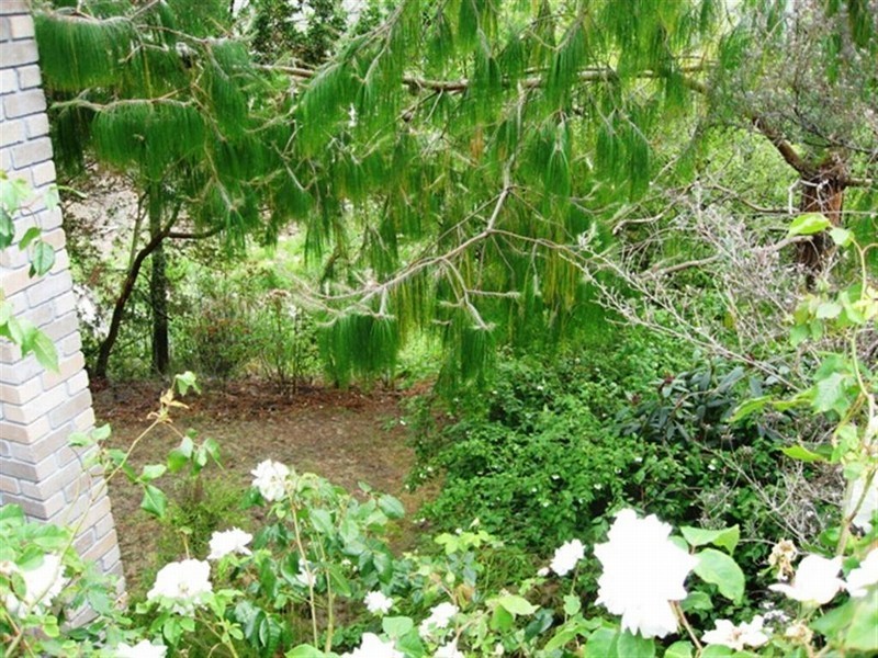 2/28 Waterworks Road, Dynnyrne TAS 7005