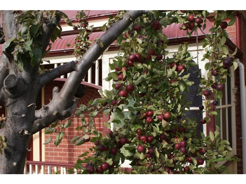 86 Hill Street, West Hobart TAS 7000